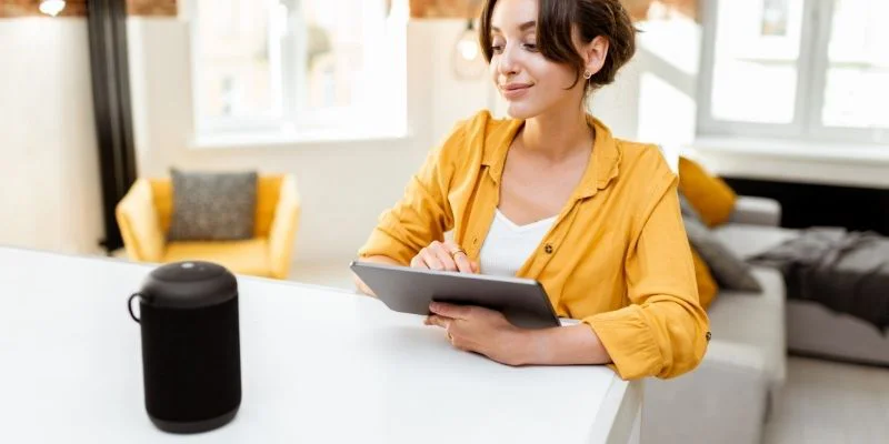 vui que es la voice user interface