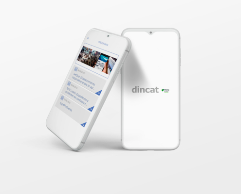 proyecto aplicacion dincat