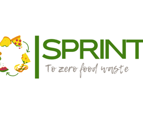 entrevista proyecto sprint