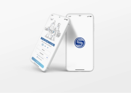 desarrollo app para grupo secon