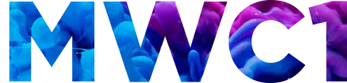 Logo MWC17