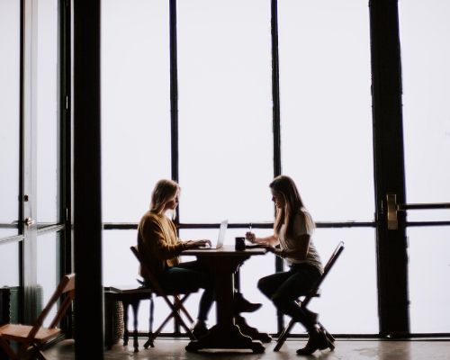 Plataforma b2b networking