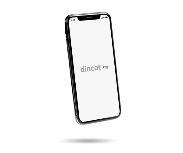 sistema de preguntas al ponente Dincat